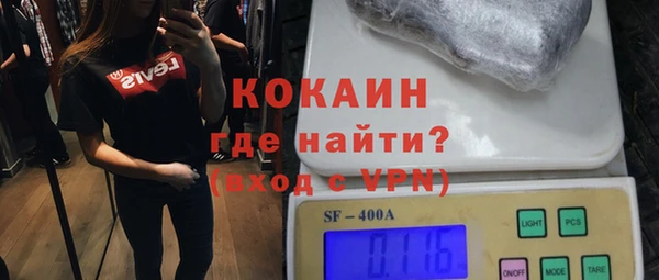 шишки Арсеньев