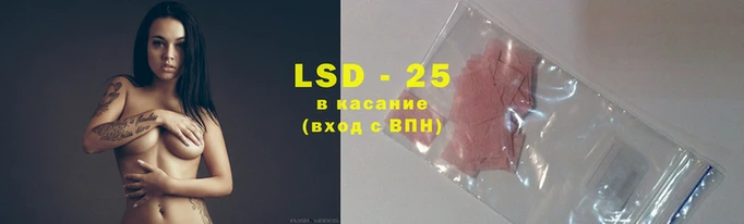шишки Арсеньев