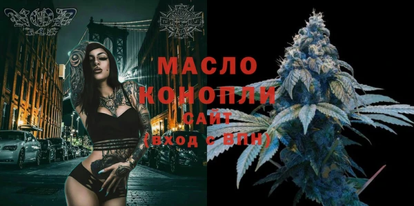 шишки Арсеньев