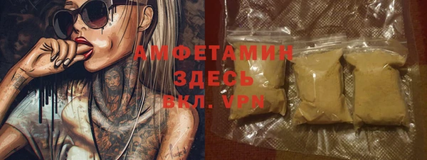 шишки Арсеньев