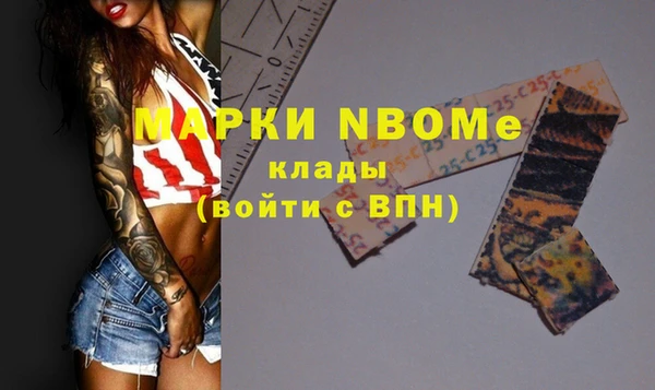 шишки Арсеньев